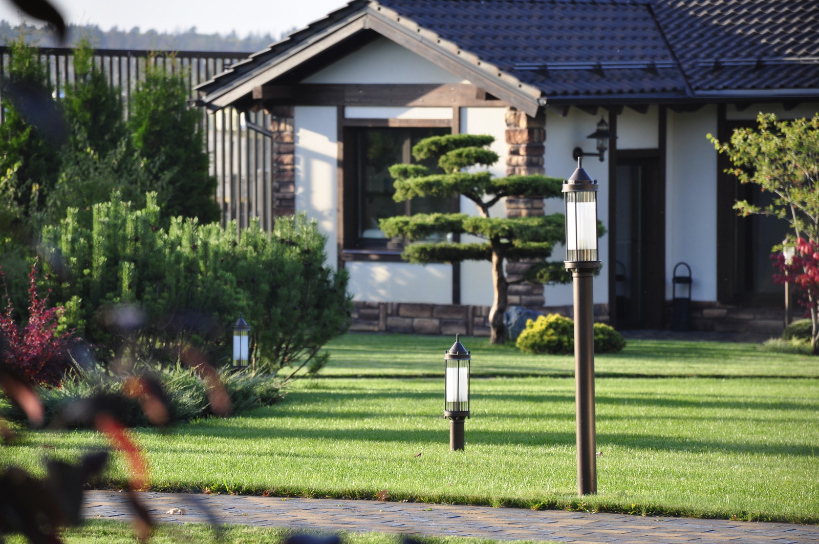 кп "Папушево" - Профессиональный уход за садом - 100% качество!