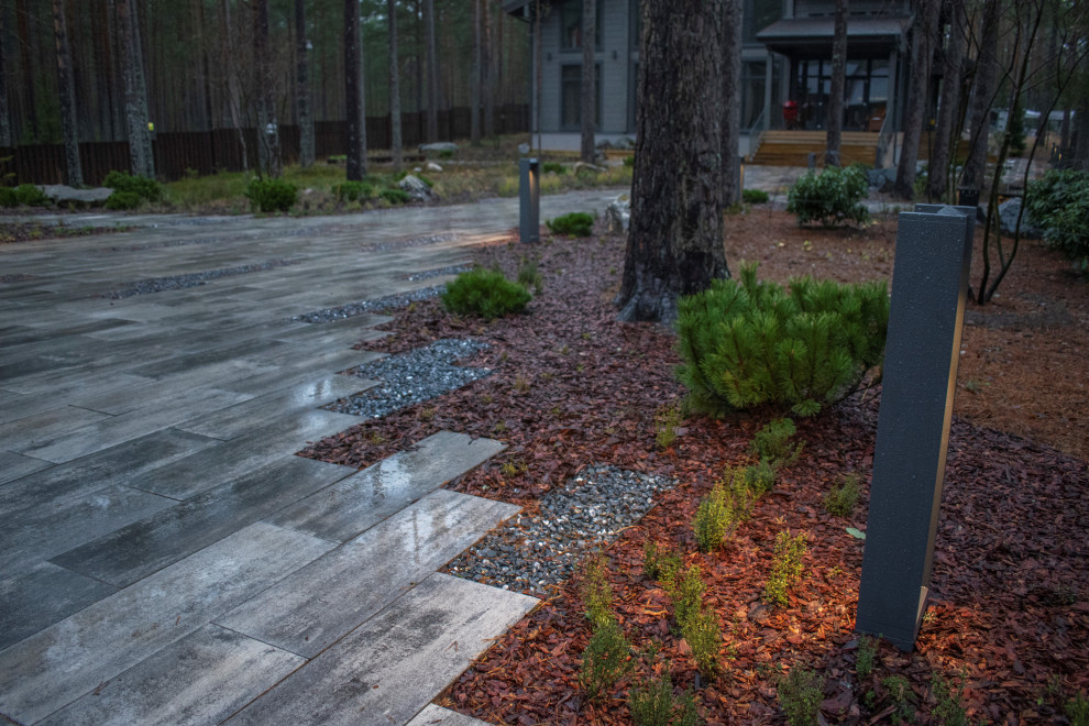 Проект "Волшебное озеро"