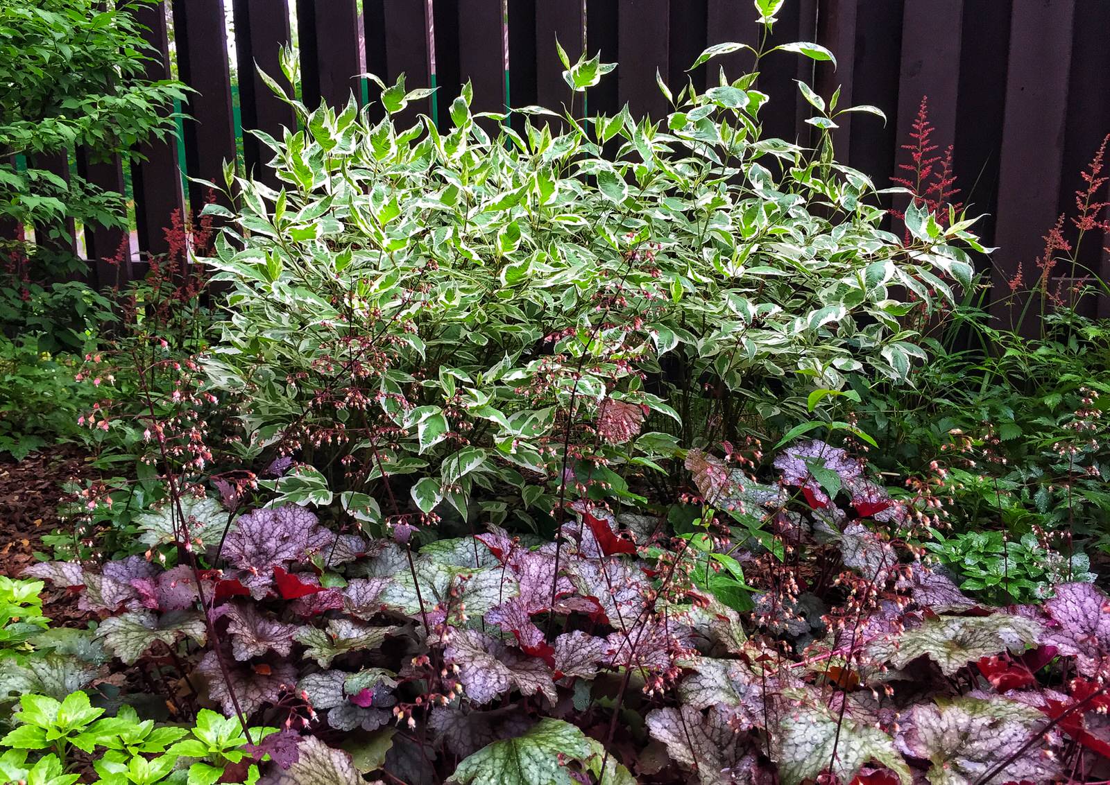 Лесной участок в Подмосковье