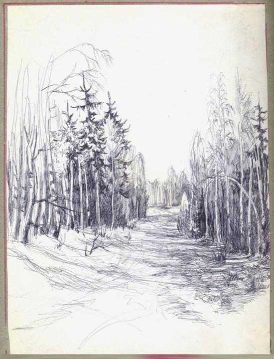 Мои черно-белые рисунки