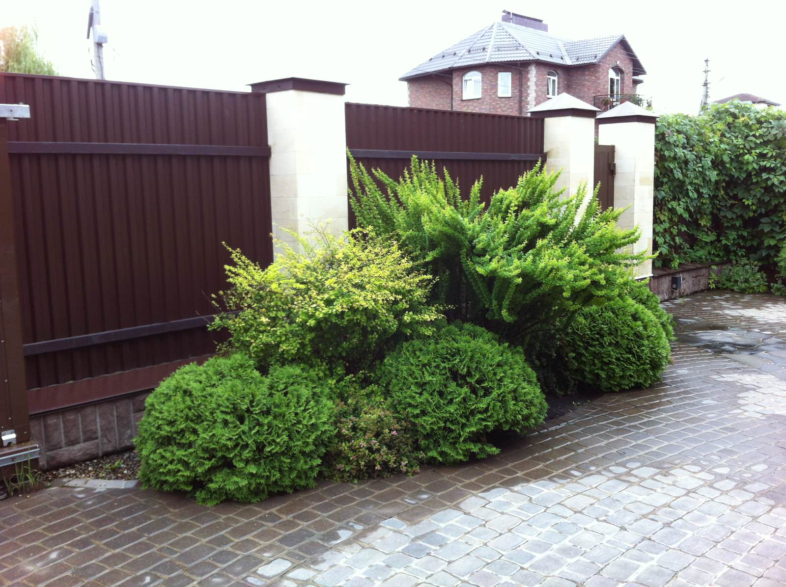 Наталия Шушлебина