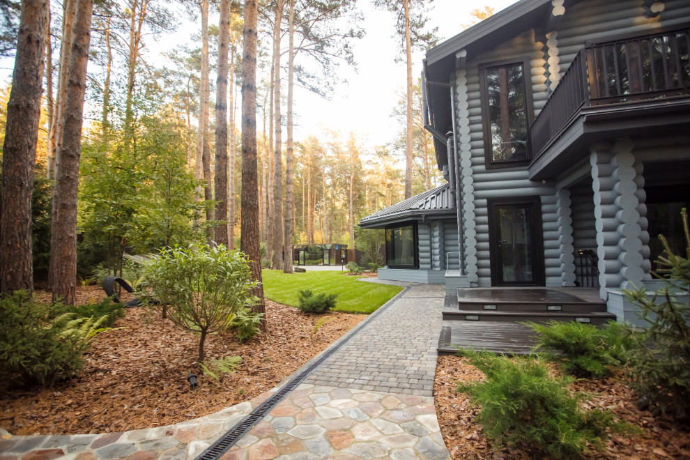 Ландшафт. Лесная погулка