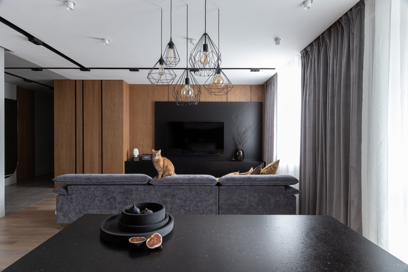 Кухня-гостиная