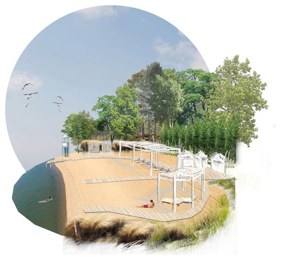 Обложка проекта: Проект благоустройства лесопарка