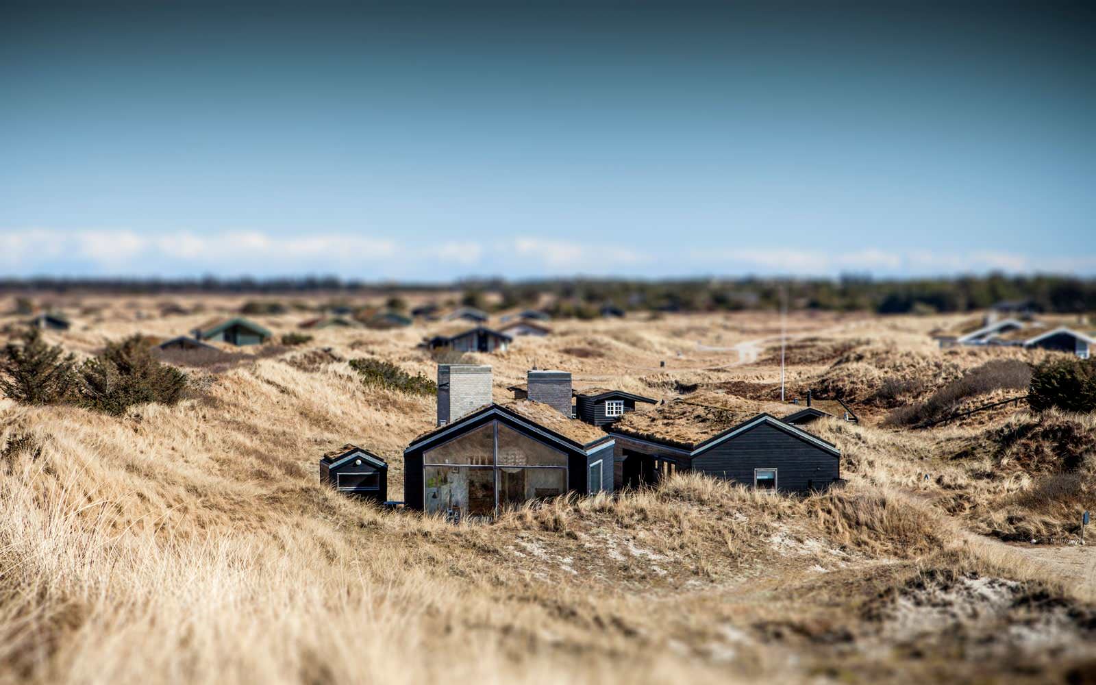 Houzz Дания: Дом под Скагеном с травой на крыше