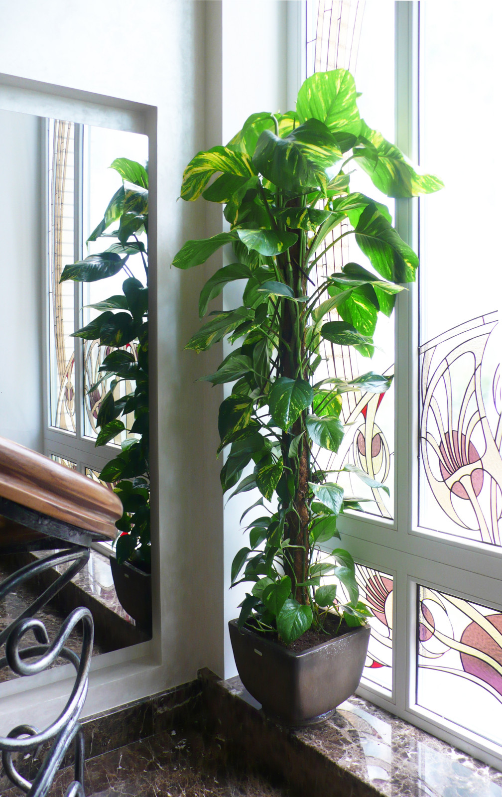 Частный дом в Южном Бутово