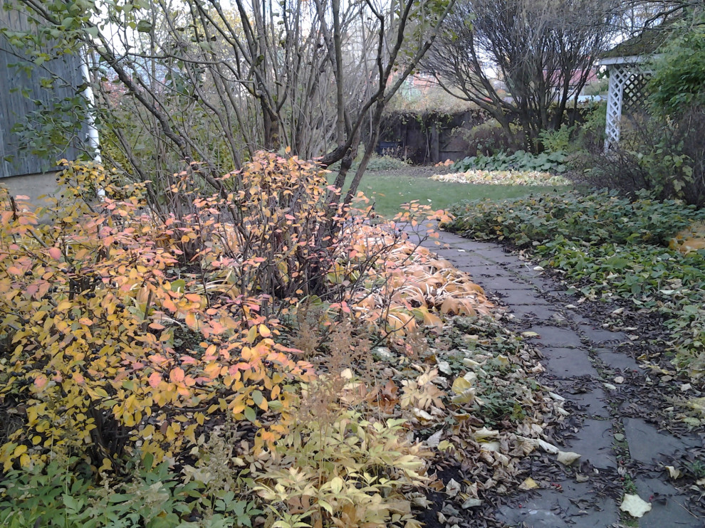 На берегу озера