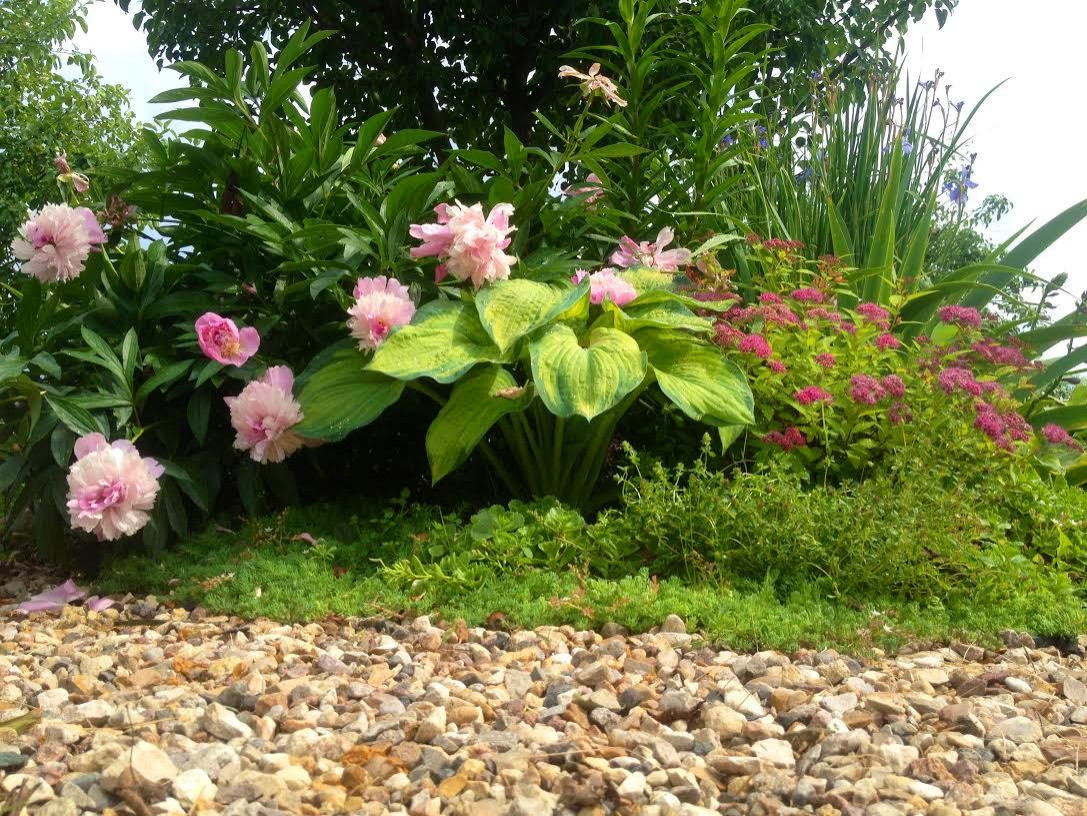 Романтический сад