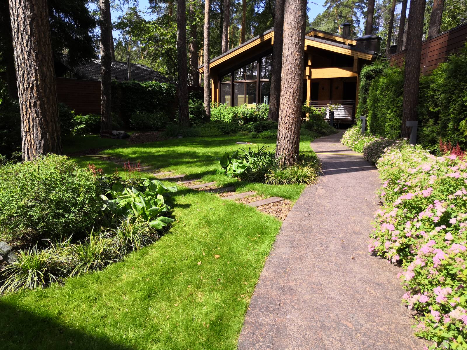 12 сот в лесу