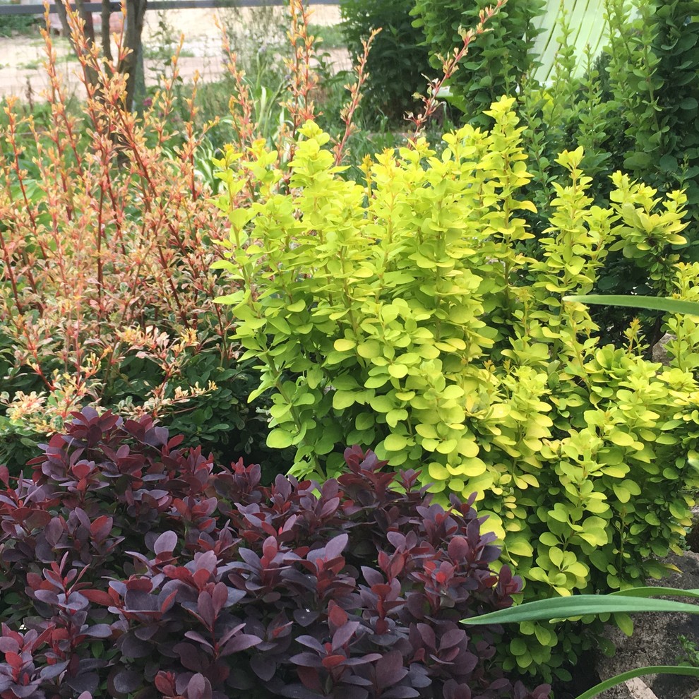 Реставрация старинного сада в калужской области