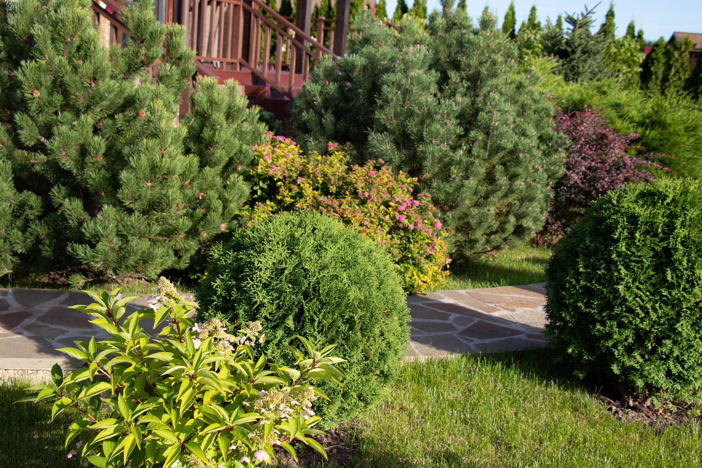 Сосновые берега