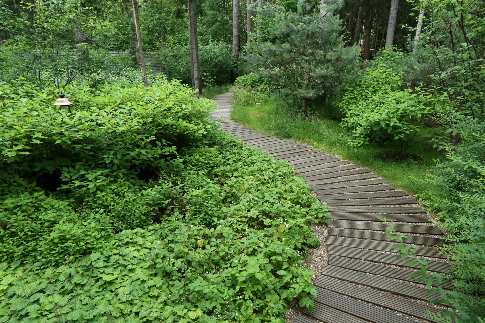 Белый танец