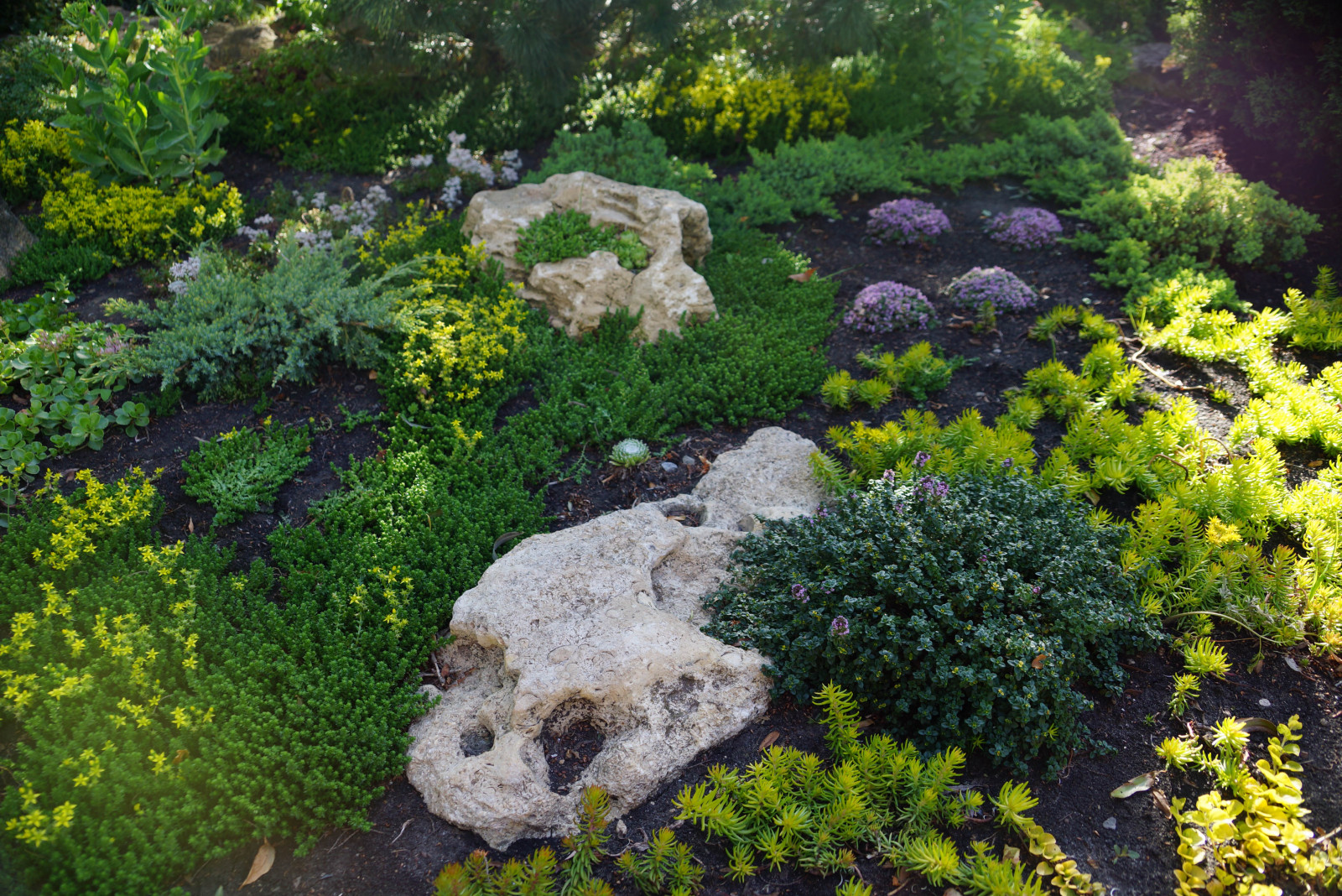 Parusnoe, Voronezhskaja oblast