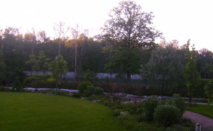 Подмосковный  вечер в лучах заката.