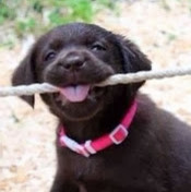 анастасия кутеносова