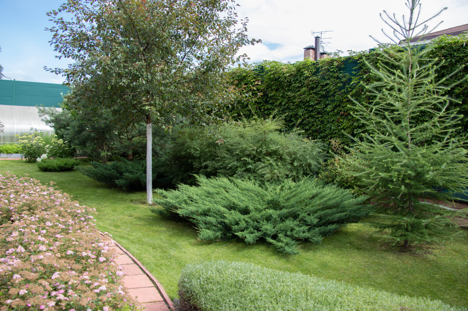 Французский садик в поселке Рыбаки Дмитровское шоссе