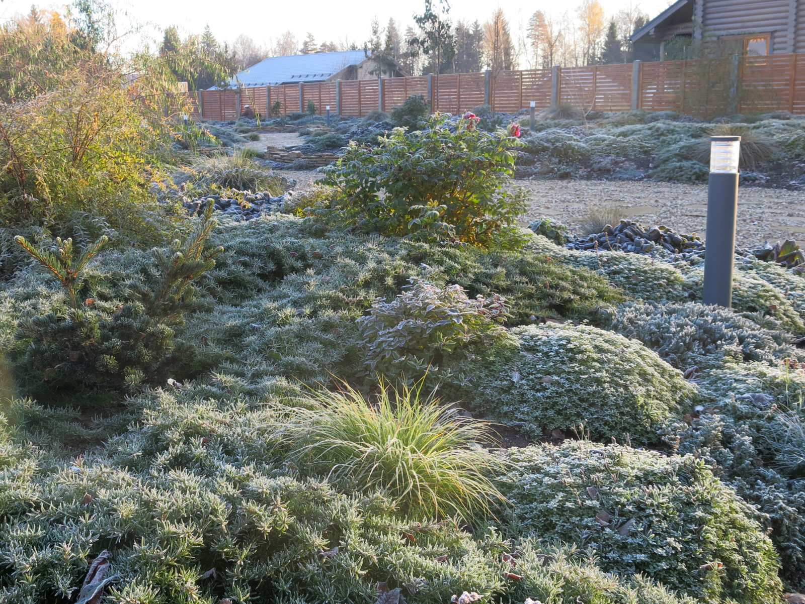 ЯГОДНОЕ ЛУКОШКО. СЕЗОН 2016. ПРЕДЗИМЬЕ. ПЕРВЫЕ ЗАМОРОЗКИ.