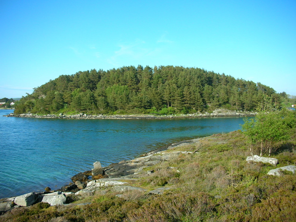 Личный опыт:  Жизнь в Норвегии — нравы, обычаи, традиции, быт