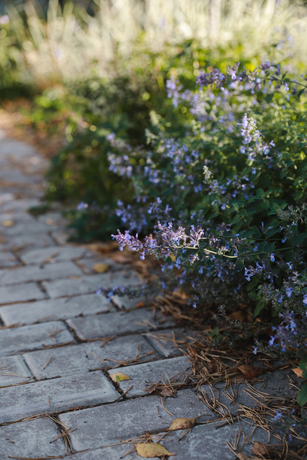 Участок 4 сотки, благоустройство и ландшафт