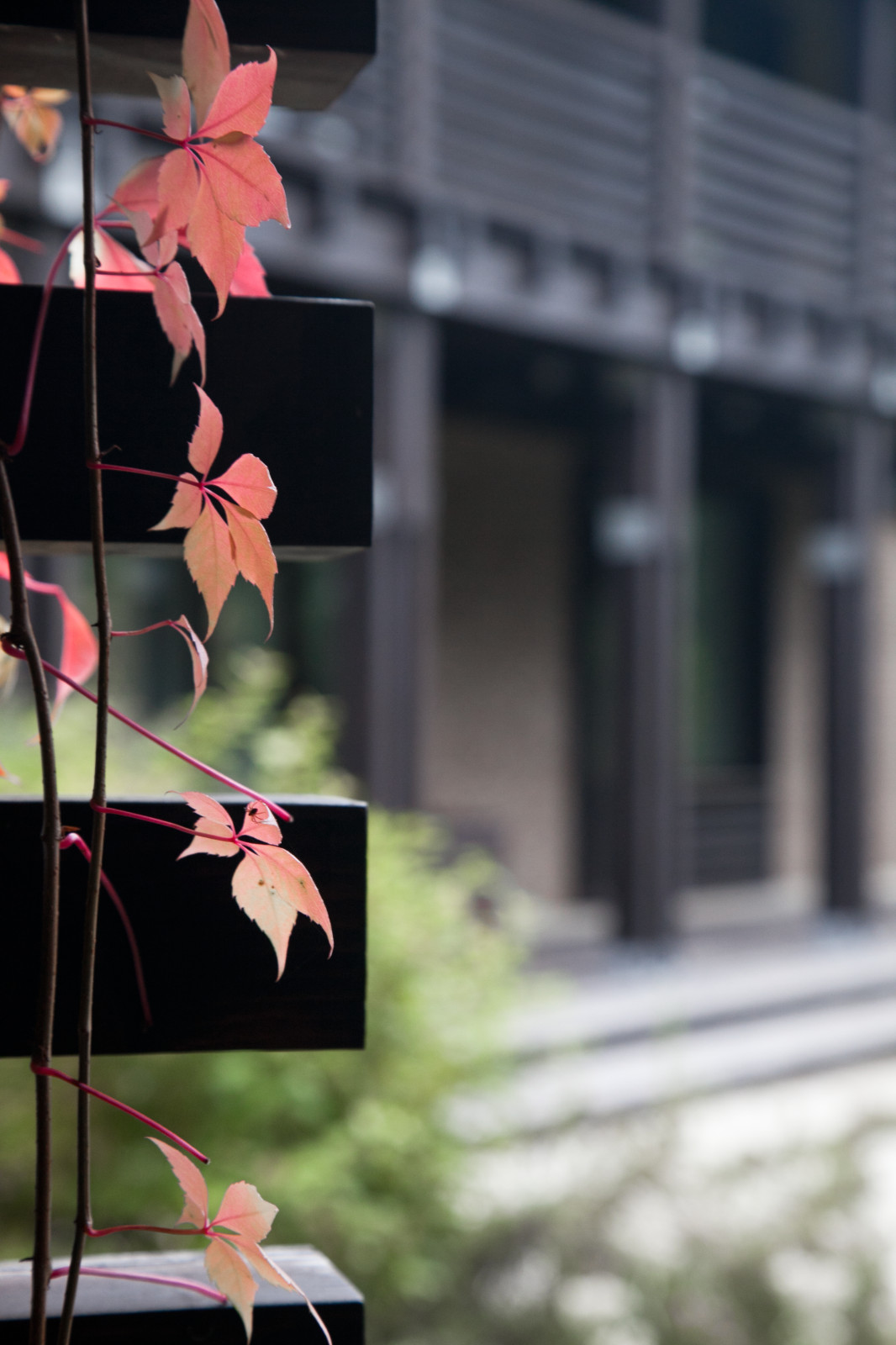 Николо-Урюпино