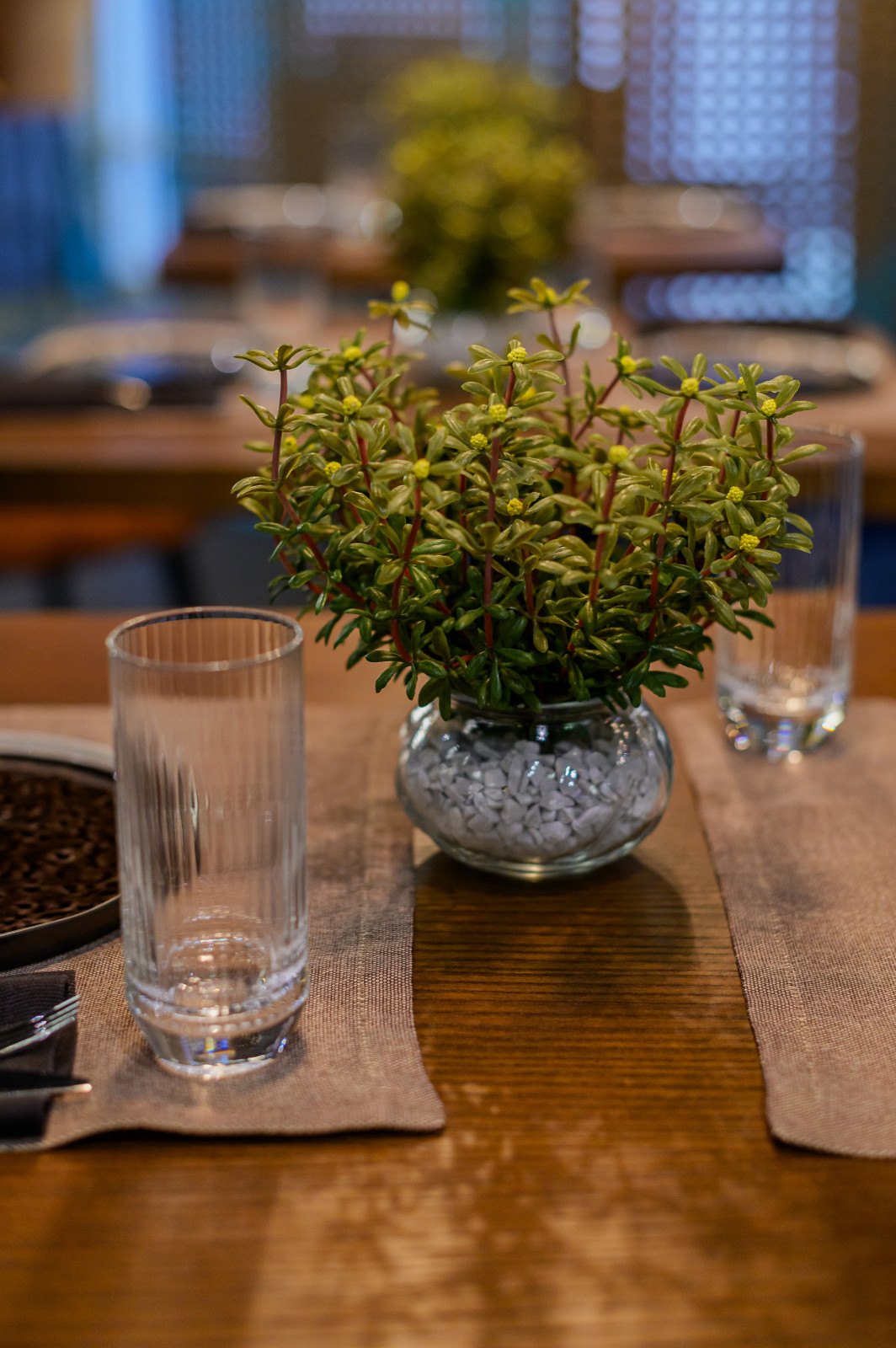 Озеленение ресторана Gravlaks (г. Светлогорск)