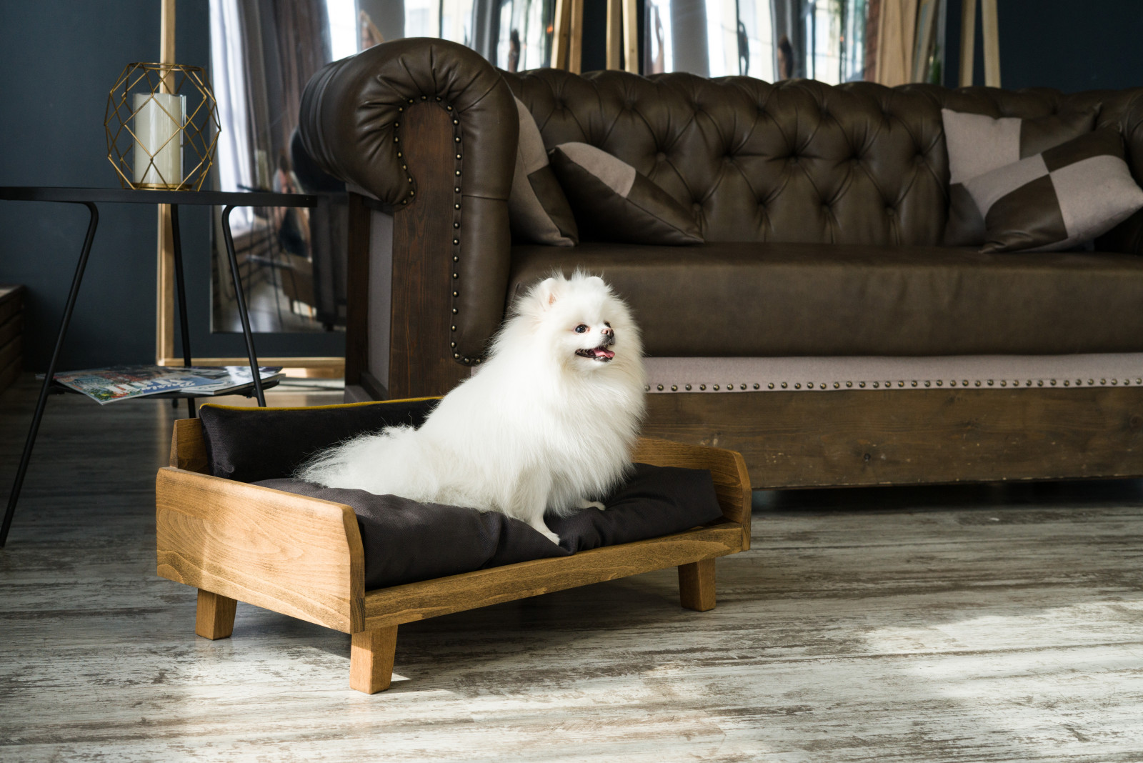 Лежанка для собак OLZY-D