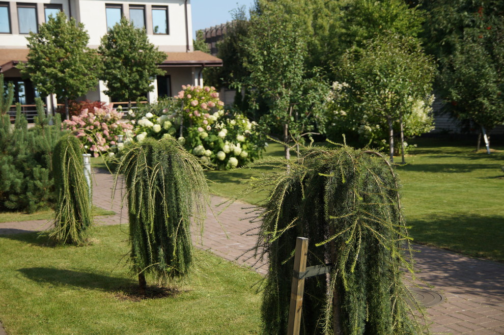 Гортензии много не бывает.