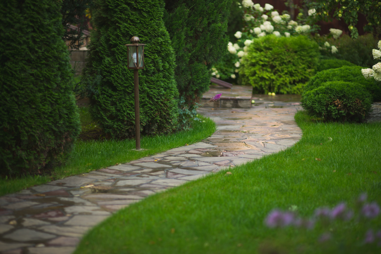 Регулярная классика