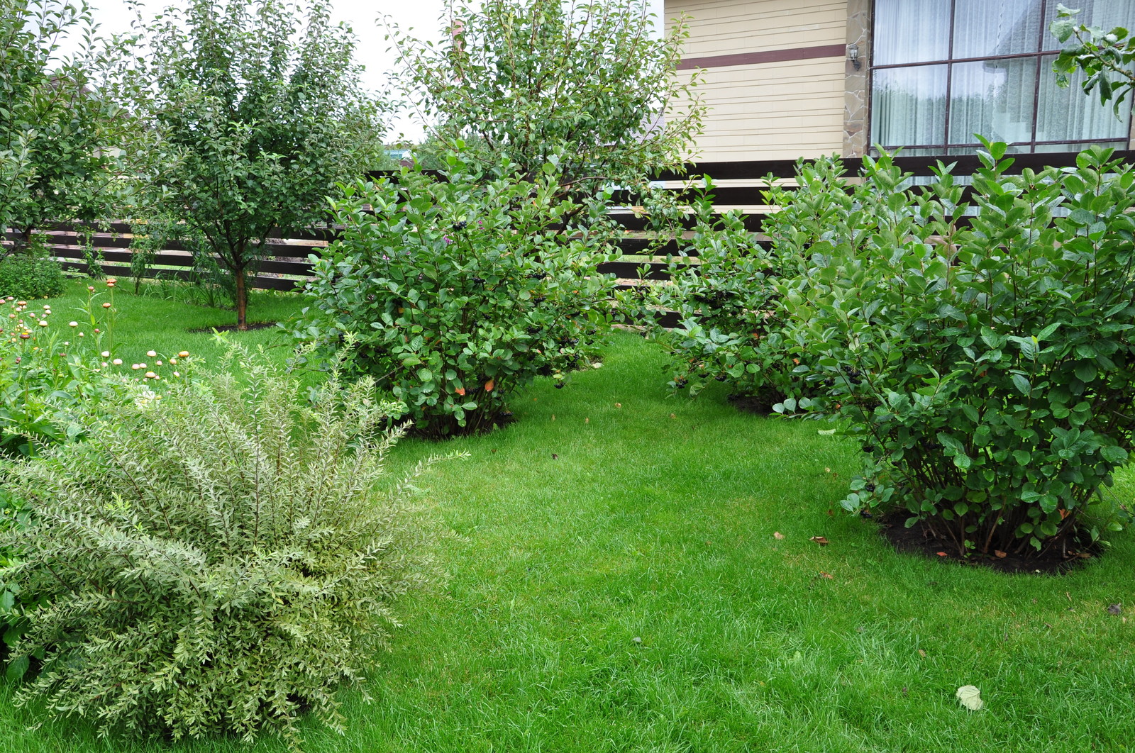 кп "Мелоди" - Уход за садом - 100% качество