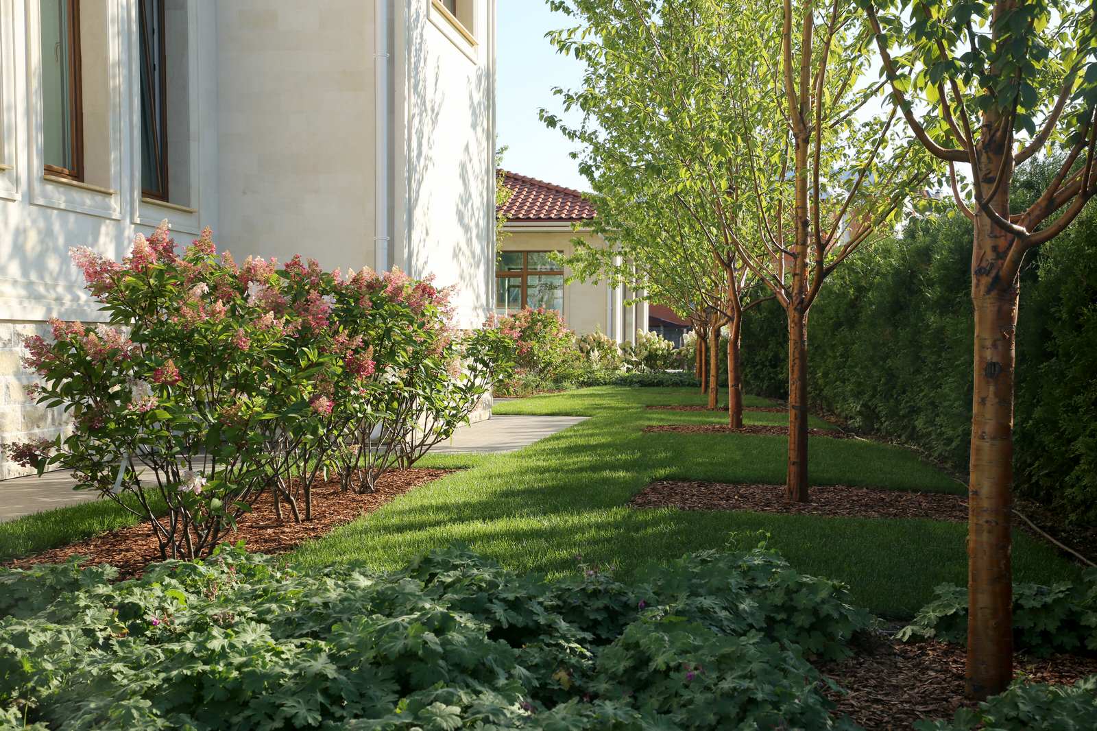 "Новорижский парк"