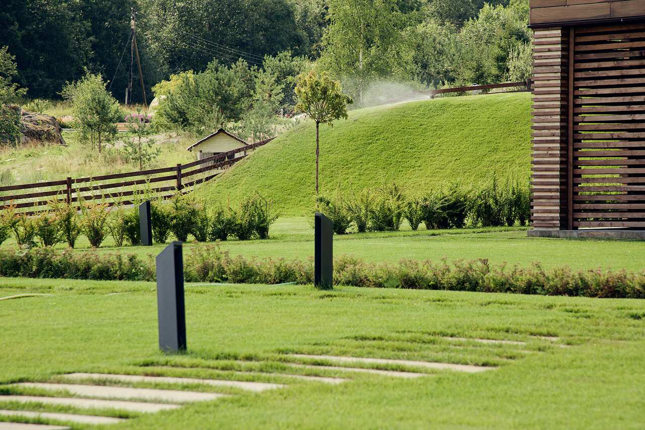 Карелия сад