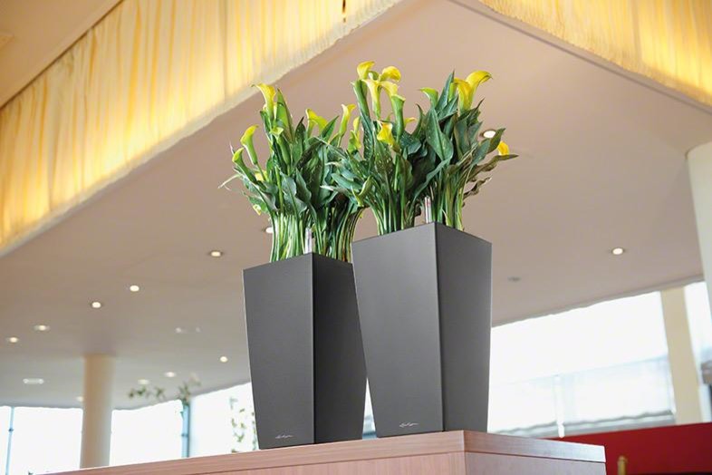 Время для серьезных дел