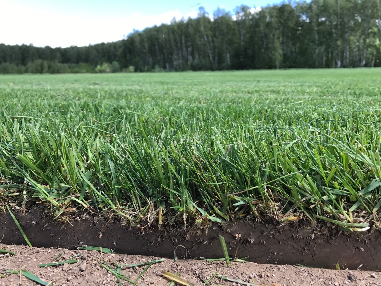 Екатерина Бирюкова