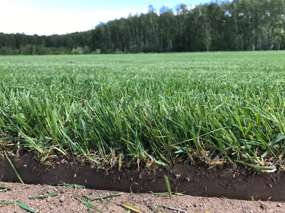 Екатерина Бирюкова