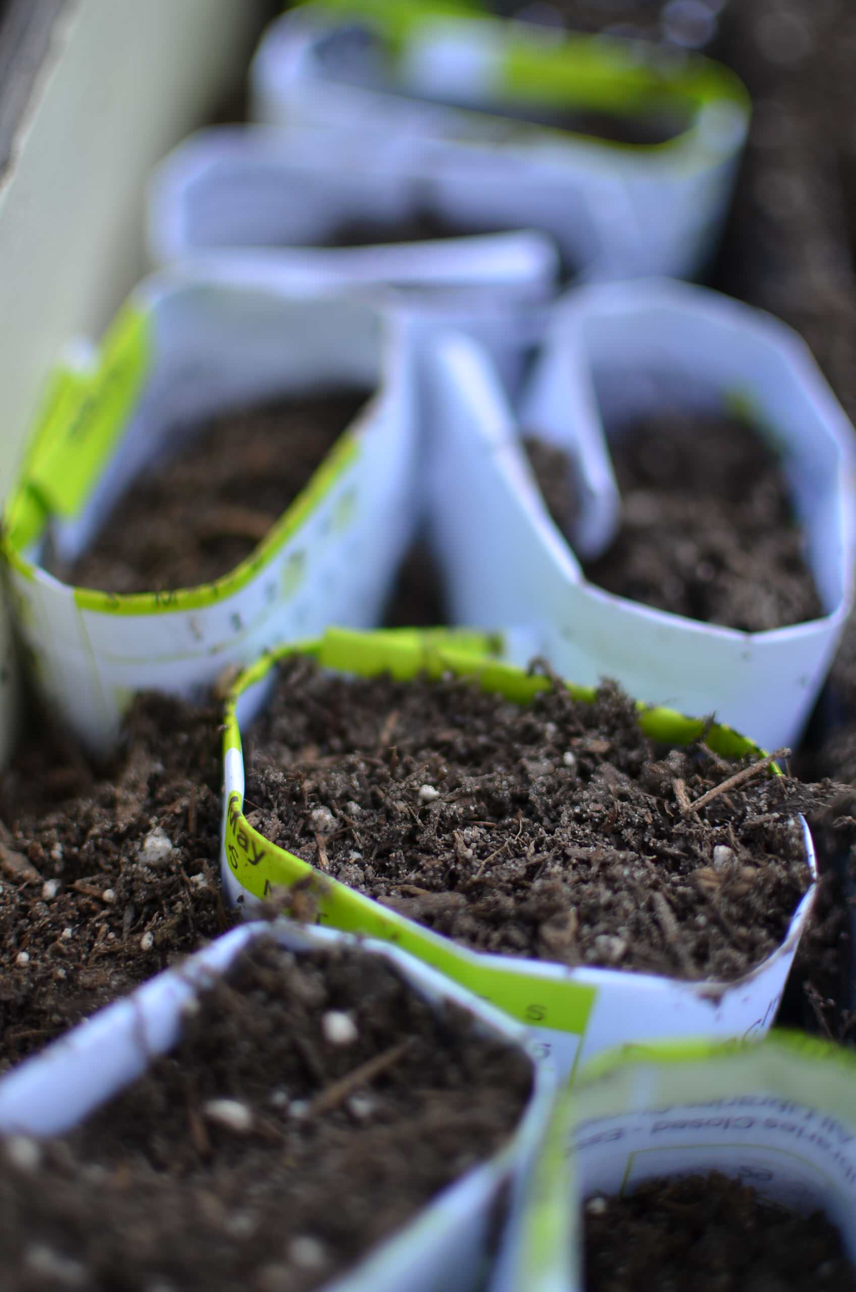 И все-таки уже весна: Календарь садовода на март