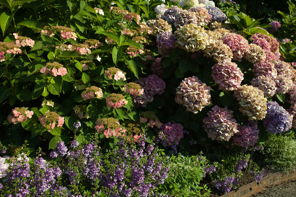 Поселок гольф-клуба Пестово