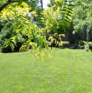 Светлана Дудник