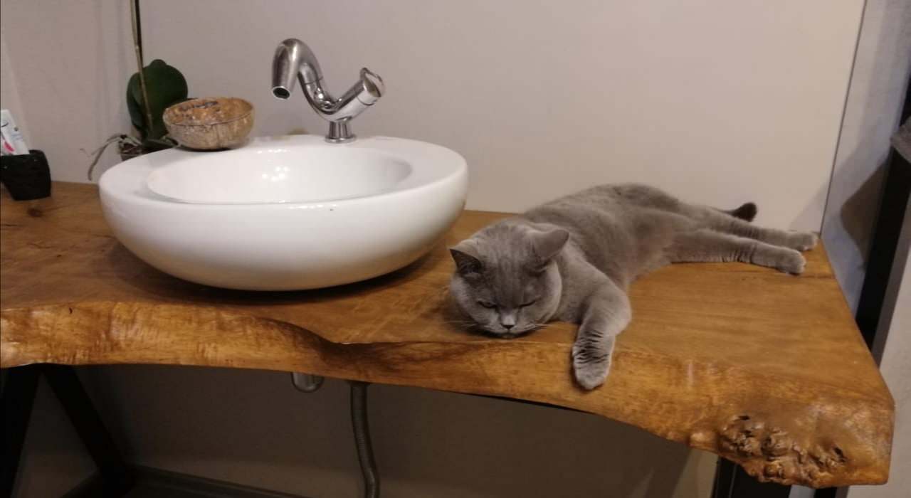 Обложка альбома: Тенденции 2020