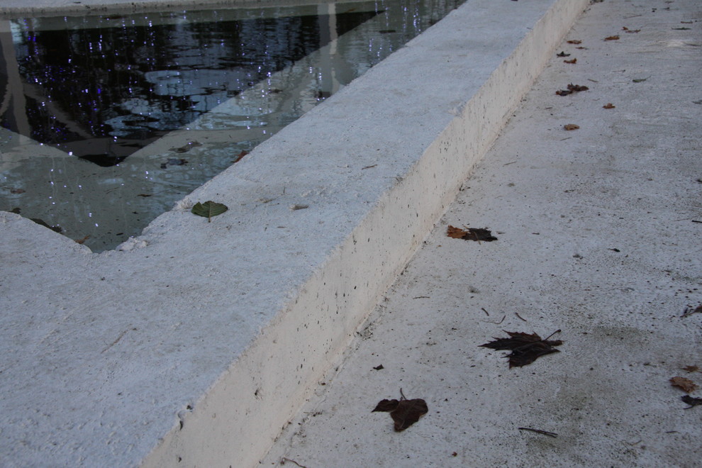 Авторский сад "Инфинити"