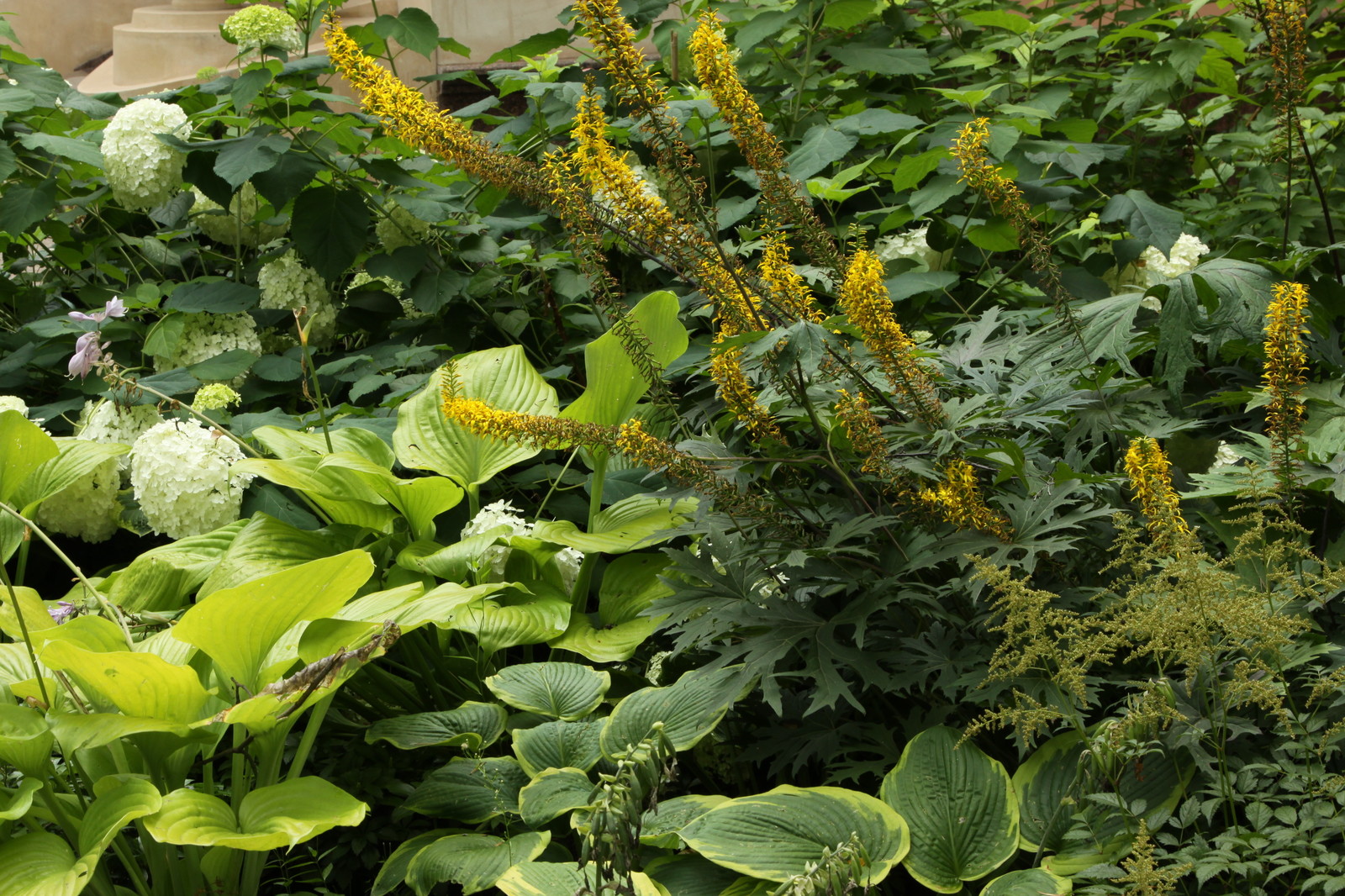 Теневые сады