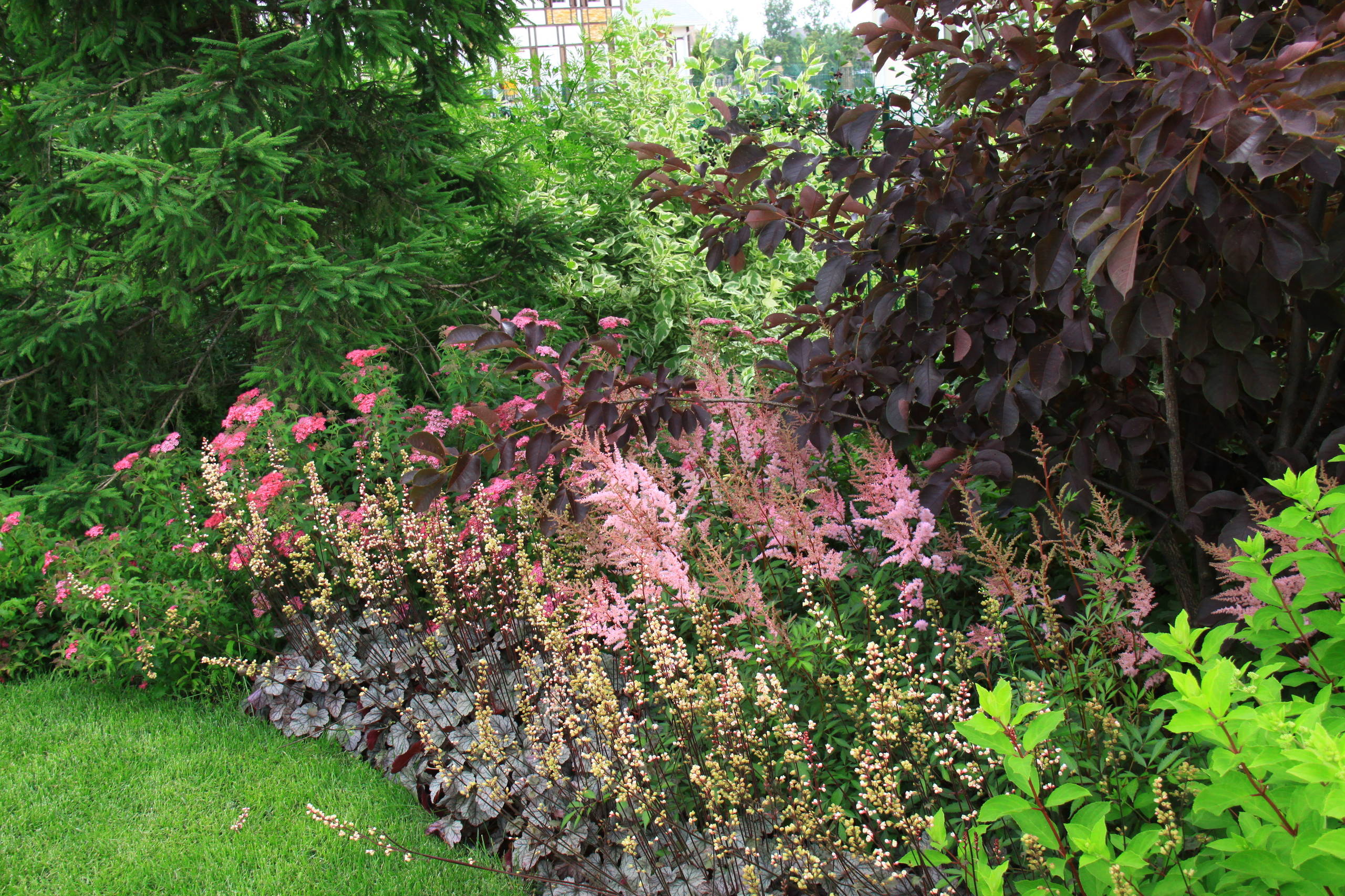 Как правильно: Сочетать растения по цвету на клумбе