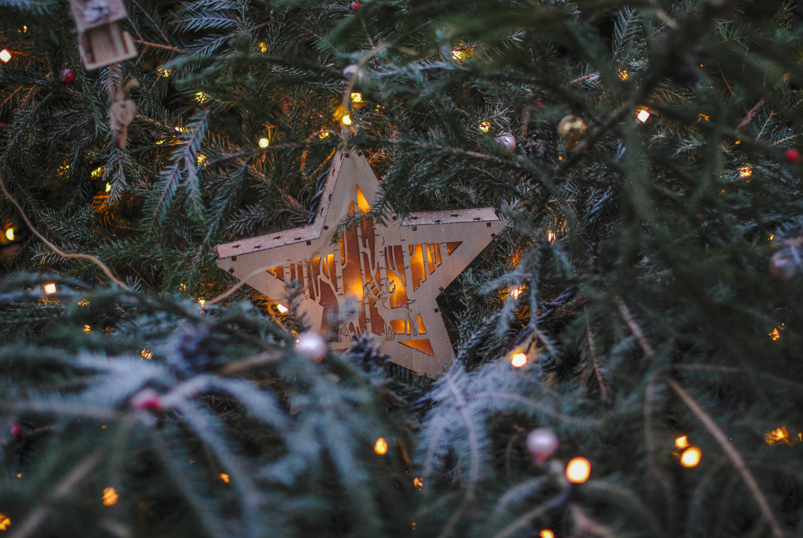 Обложка проекта: Праздник к нам приходит