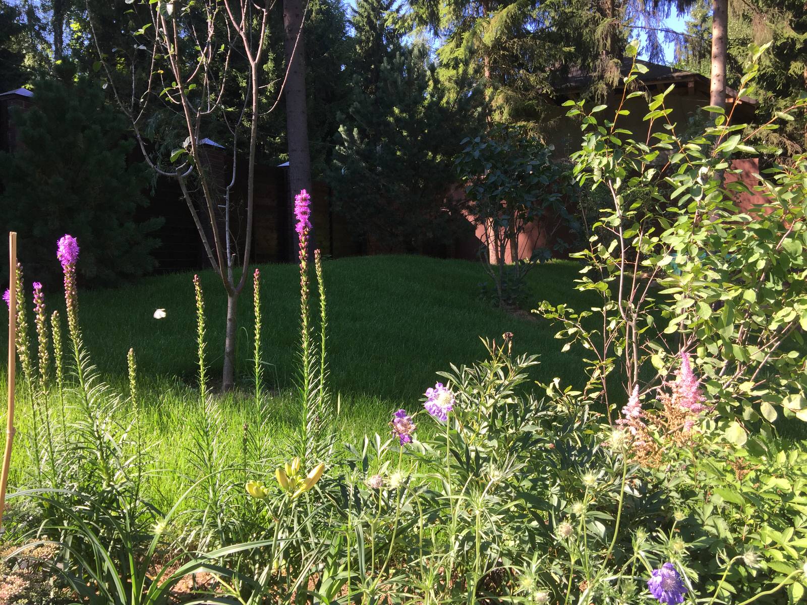 Ландшафтный дизайн участка 45 соток, КП Дубровка, МО