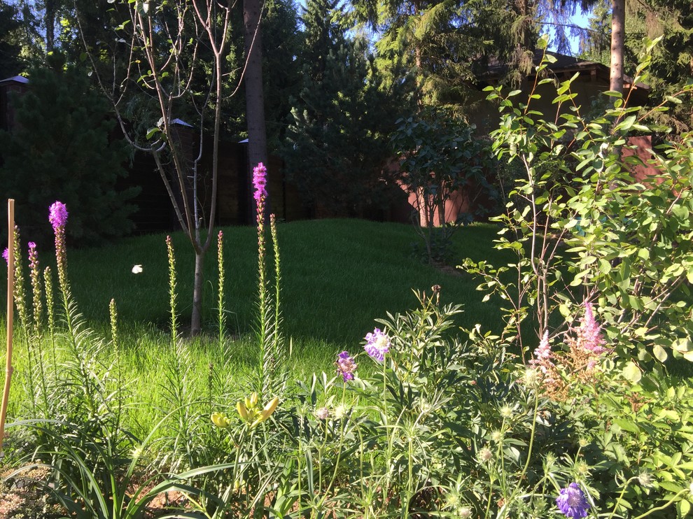 Ландшафтный дизайн участка 45 соток, КП Дубровка, МО