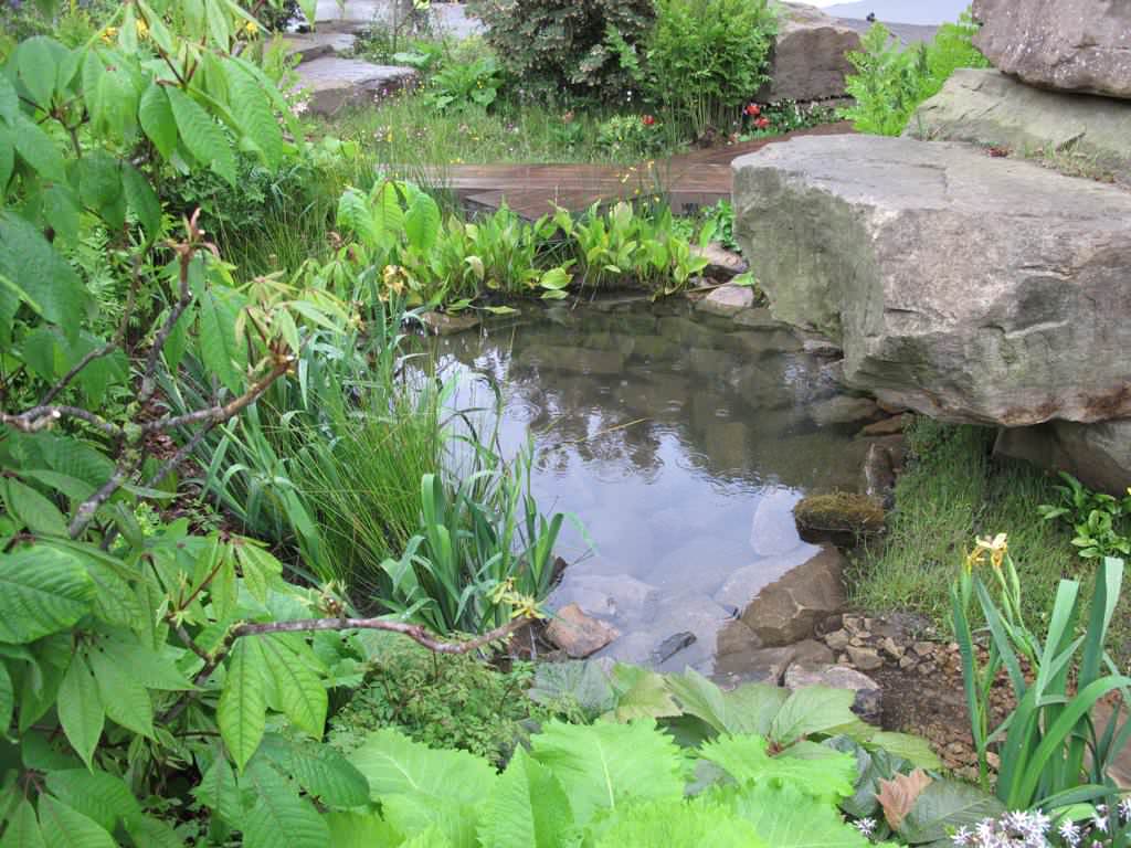 Chelsea Flower Show: 11 трендов ландшафтного дизайна на будущий год