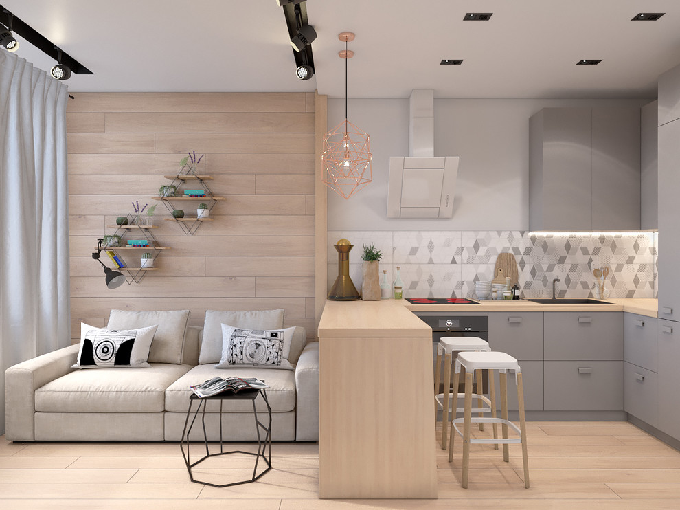 Проект квартиры в ЖК Тойве