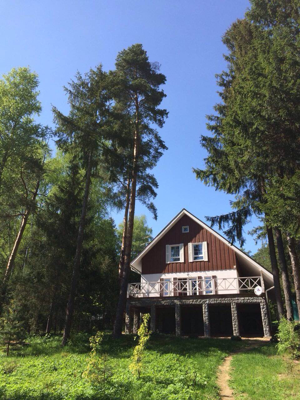 Загородный дом с видом на сосны