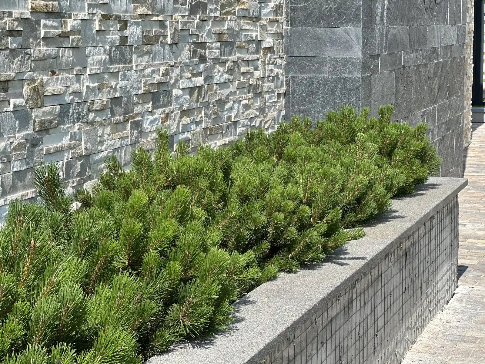 «НА ЗАПОВЕДНЫХ БЕРЕГАХ»