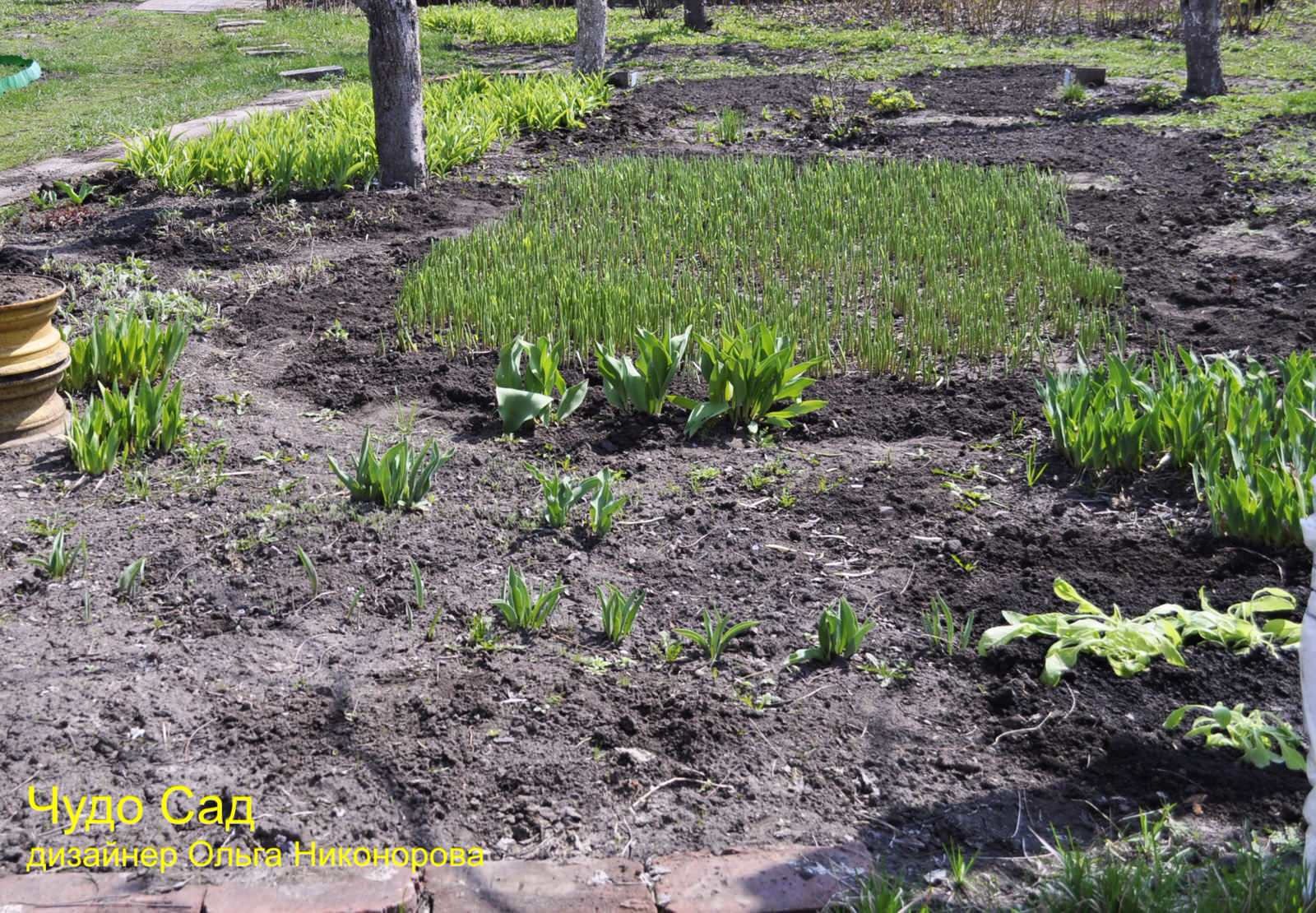 Фоновое изображение профиля Olga Nikonorova