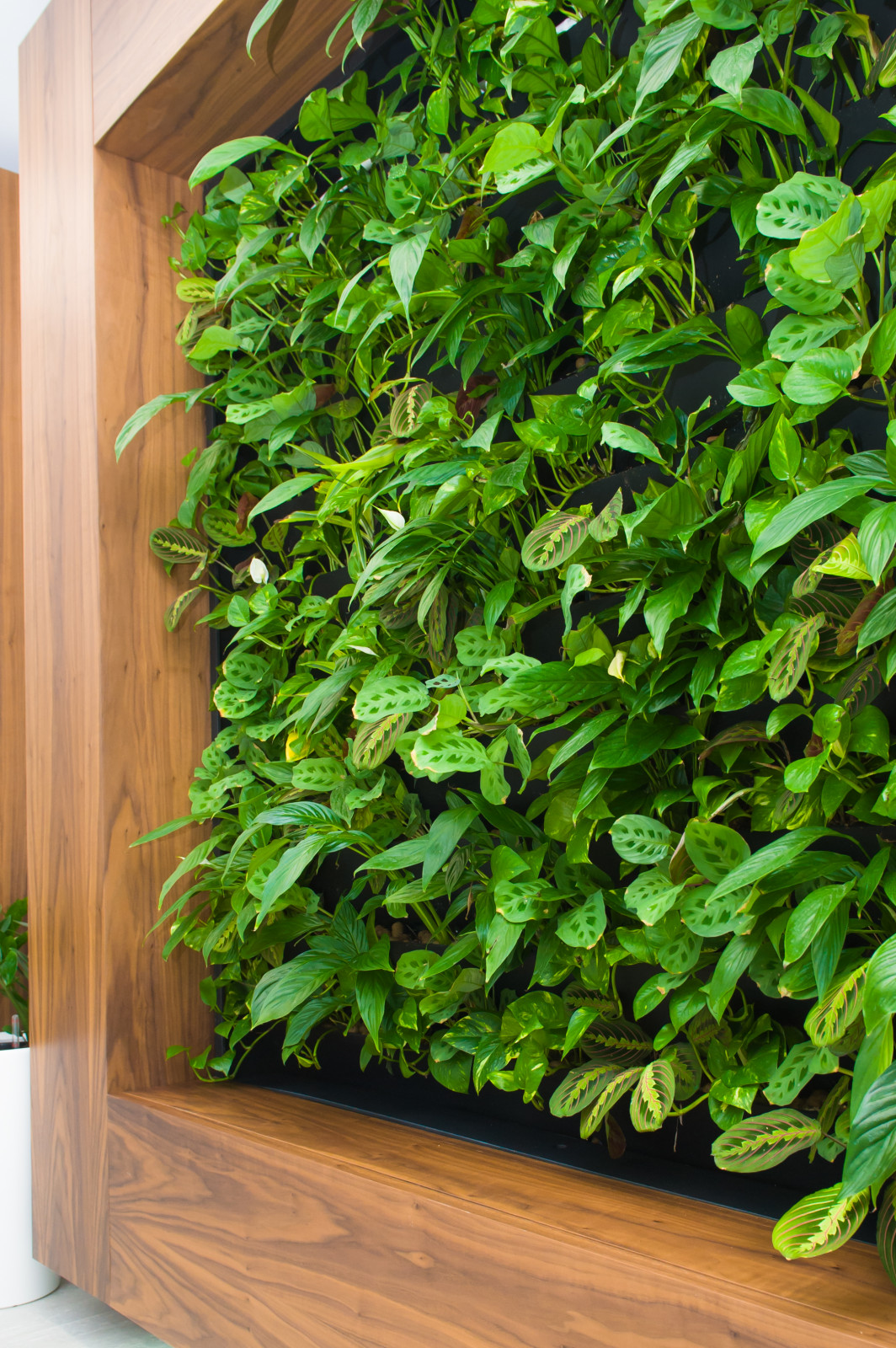 Холл и аудитория